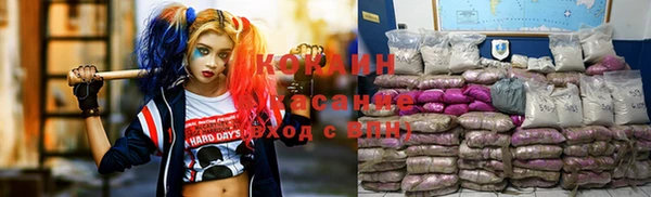 дживик Алексеевка