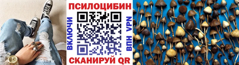 Галлюциногенные грибы Cubensis  Карпинск 