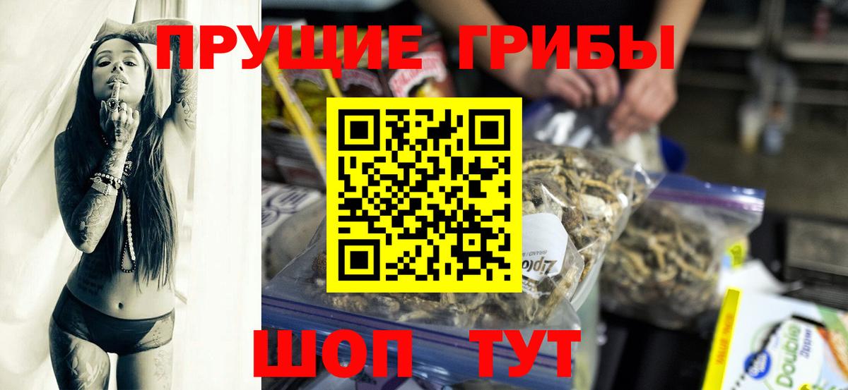 Карпинск  Псилоцибиновые грибы прущие грибы  купить наркотики сайты  Вход с VPN  Псилоцибиновые грибы прущие грибы 